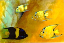 Imagem 1